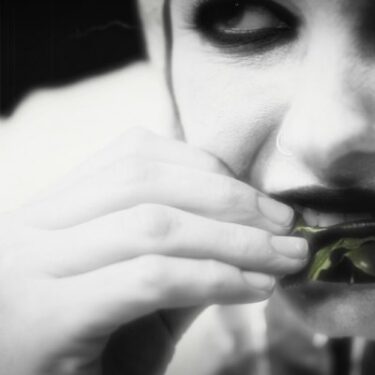 Celina Muldoon: The Gate, or the disk of the sun will turn to the disk of the moon and our children sold for silver |  Royal Hibernian Academy 
15 Ely Place, Dublin 2 | Friday 15 March to Sunday 21 April 2024 | to 