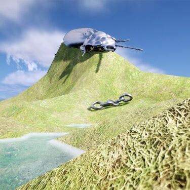 Mollie Mia Murphy: Aithníonn Ciaróg, Ciaróg Eile |  NCAD Gallery 
100 Thomas Street Dublin 8 | Thursday 28 March to Friday 12 April 2024 | to 