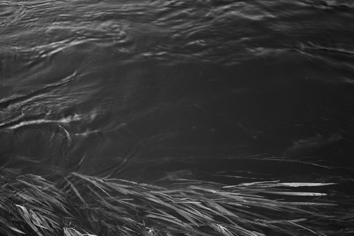Willie Doherty: Remnant | Saturday 13 April  – Saturday 8 June 2024 | Solstice Arts Centre | Image: appears to be a black-and-white photo / video still of a river’s edge viewed from above; the near-black water appears to be running fast, and the mostly-submerged grasses at the edge bend with the flow, from left to right 