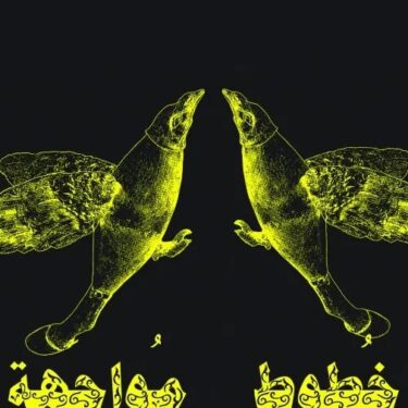 Manal Mahamid: Lines of Flight |  GOMA Gallery of Modern Art 
6 Lombard Street Waterford | Saturday 27 April to Saturday 1 June 2024 | to 