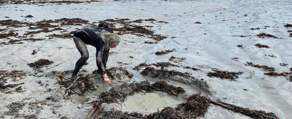 BAVA student Hammond Journeaux working on Sherkin