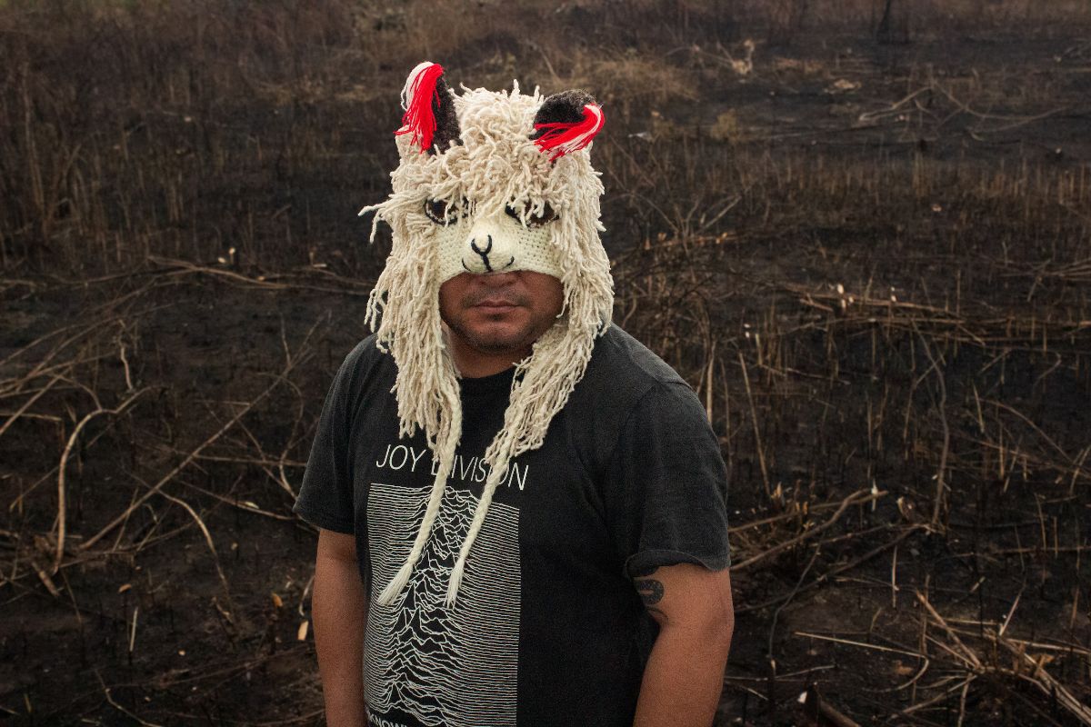 Denilson Baniwa, S/ título, da série Pajé Allpaca [Untitled, from the series Allpaca Shaman], 2023. Courtesy of the artist | Denilson Baniwa: Pajé Jaguar | Saturday 18 May  – Saturday 6 July 2024 | SIRIUS | Image: Denilson Baniwa, S/ título, da série Pajé Allpaca [Untitled, from the series Allpaca Shaman], 2023. Courtesy of the artist |  photo from slightly above of a person, in a field of stubble perhaps, and wearing a Joy Divison t-shirt, with an alpaca mask on; the mask covers the top of the head, almost to the bottom of the nose, so that we see the mouth and chin of the person; the mask has bright-red-and-black-and-a-bit-of-white ears, messy woolly hair, big black eyes, a short nose with outlines; the alpaca / person is looking, more or less, towards the camera; they are visible from waist upwards 