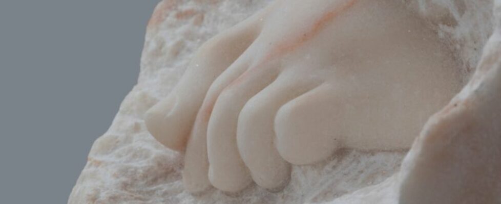 veins of other cross