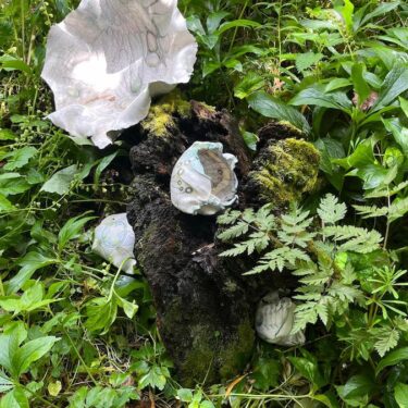 Ephemeral |  Hunting Brook Gardens Blessington Co Wicklow | Saturday 1 June to Wednesday 31 July 2024 | to 