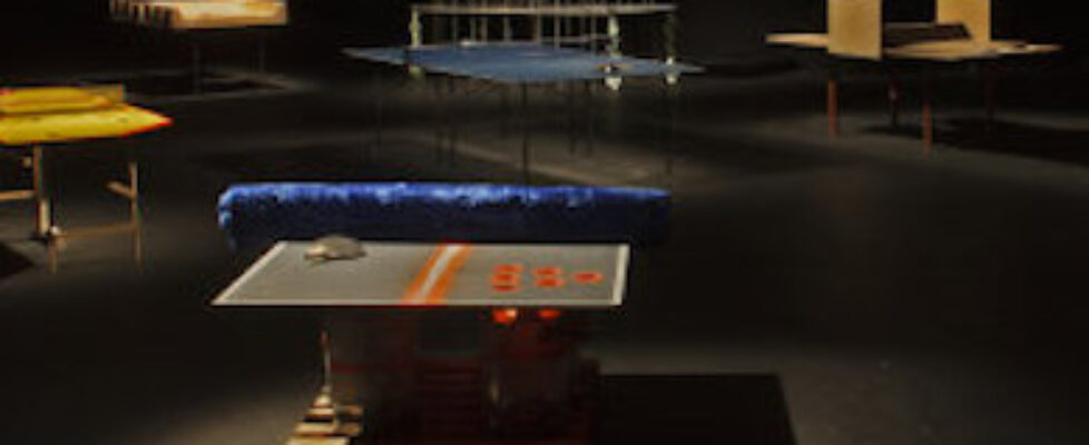 Wiff-Waff-is-Playing-at-My-Gaff-install