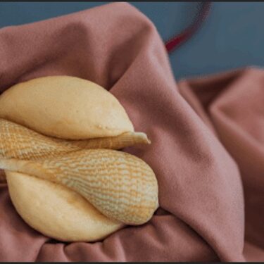 Naomi Draper: but if I could understand what you are, root and all, and all in all |  Roscommon Arts Centre 
Circular Road Roscommon Town | Friday 12 July to Saturday 31 August 2024 | to 