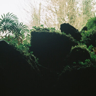 Dorothy Hunter, Marie Farrington, Amy Stephens: Strata |  CCA 
5-7 Artillery Street Derry~Londonderry | Saturday 20 July to Saturday 21 September 2024 | to 