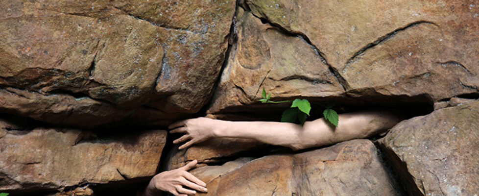 Liane-Lang-Deep-Time-Dip-Exhibition-at-Butler-Gallery-Image-credit-Liane-Lang-Fossil-Bones-print-on-hahnemuhle-paper