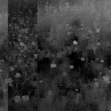 BOKEH: Exhibition of Contemporary Photography |  SO Fine Art Editions 
Powerscourt Townhouse Dublin 2 | Saturday 13 July to Saturday 17 August 2024 | to 