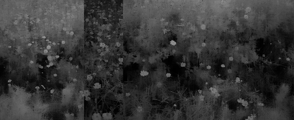 web-Toshiya-Watanabe2