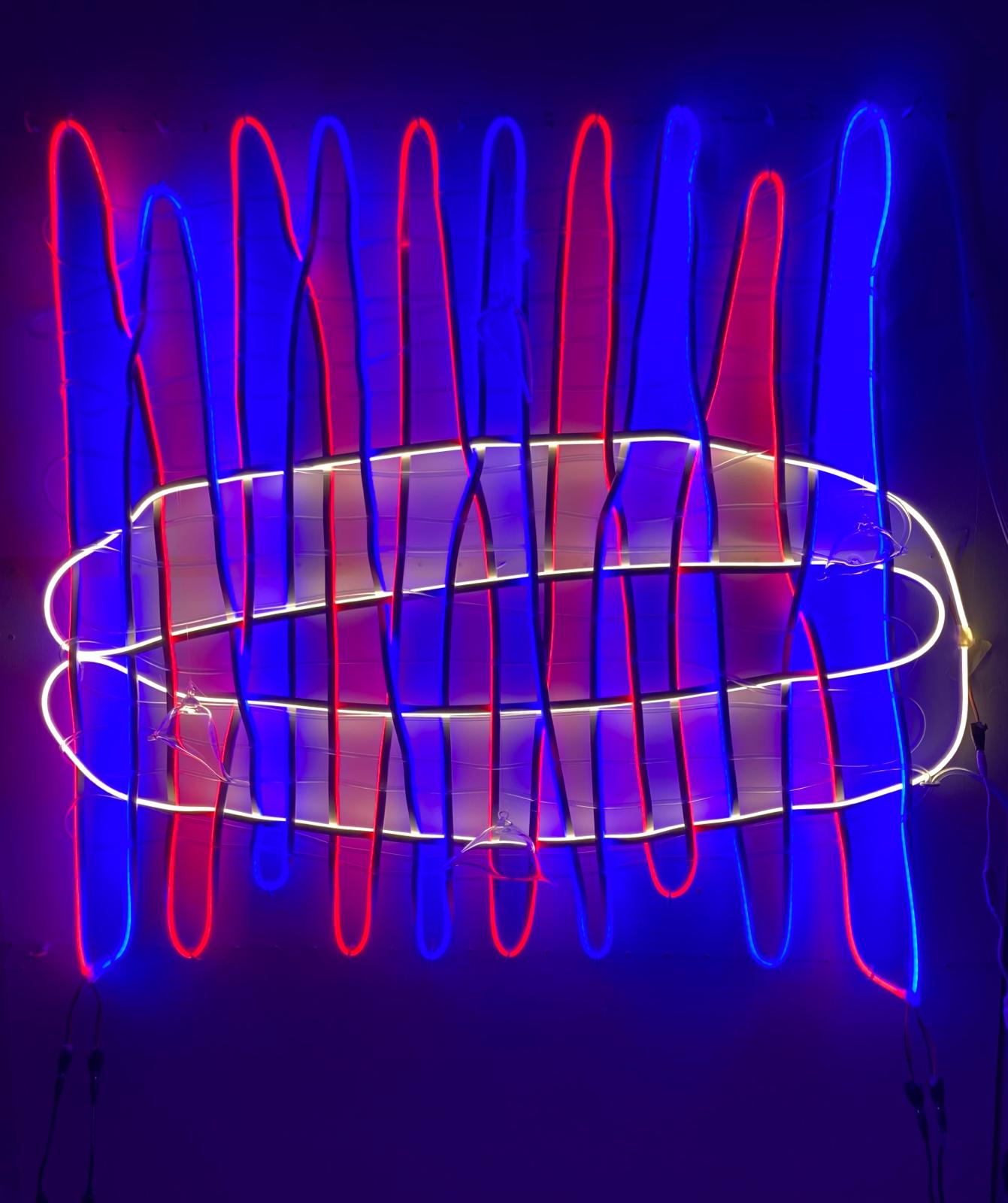 Paula Fitzpatrick, Margaret Tuffy | Crosscurrents | Saturday 7 September  – Wednesday 30 October 2024 | Municipal Gallery | Image: Paula Fitzpatrick, Margaret Tuffy | this artwork appears to be constructing using red, blue and white neon-light tubes; the red and blue tubes appear to face forward at some points, backwards at others, so that we their colours directly at some points, reflected off a background wall at others; the red and blue tubes are in an intertwining, crossing-over vertical pattern, a bit like baguettes or chromosomes, while the white tubes are primarily horizontal, a bit of a squashed-hamburger shape across the red and blue tubes, but again suggesting something chromosomal 