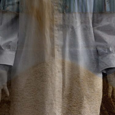 Debbie Godsell: Flail |  The Source Arts Centre 
Thurles Co Tipperary | Saturday 14 September to Saturday 19 October 2024 | to 