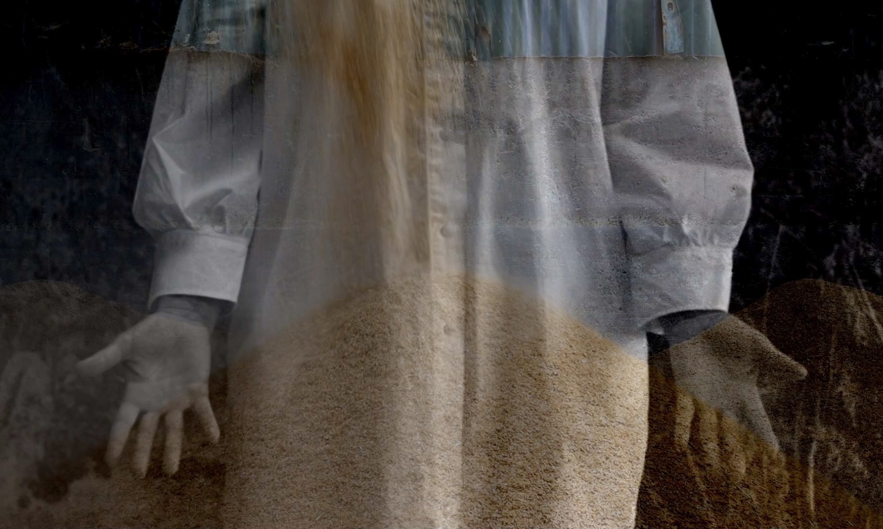 Debbie Godsell: Flail, video still, video, 5 mins. | Debbie Godsell: Flail | Saturday 14 September  – Saturday 19 October 2024 | The Source Arts Centre | Debbie Godsell: Flail, video still, video, 5 mins. | we see someone wearing a white shift (?) – but only from below the shoulder to above the knee, face-on, with hands open towards the camera, below broad cuffs; the image of the person seems to be superimposed onto an image of grain falling onto a growing mound of grain 