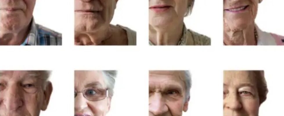 OPeration-Shamrock-banner