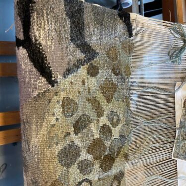 Timelines, Growth and Catastrophe |  Roscommon Arts Centre 
Circular Road Roscommon Town | Saturday 21 September to Thursday 24 October 2024 | to 