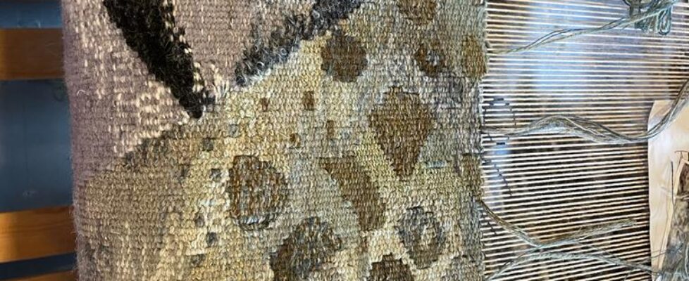 Timelines-work-in-progress