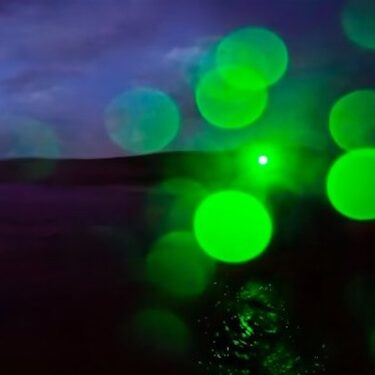 Vanessa Daws: Swimming a Long Way Together |  The LAB 
Foley Street, Dublin 1 | Thursday 19 September to Friday 22 November 2024 | to 