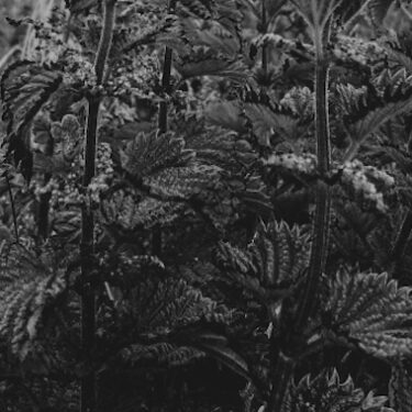 The Sky is Falling! |  Ormston House 
9-10 Patrick Street Limerick City | Friday 13 September to Saturday 16 November 2024 | to 