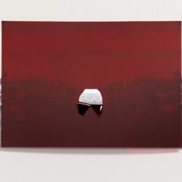 Catriona Leahy: Nature’s Own Darkroom |  Royal Hibernian Academy 
15 Ely Place, Dublin 2 | Saturday 23 November 2024 to Sunday 12 January 2025 | to 