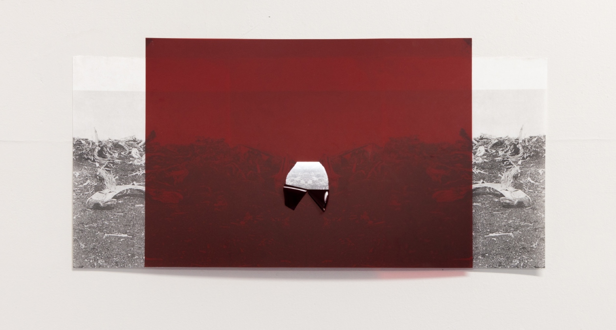 Catriona Leahy, Rupture II, 2024, Graphite drawing and transfer print on Shiohara Japanese Paper, 60cm x 26cm, Image courtesy of the artist | Catriona Leahy: Nature’s Own Darkroom | Saturday 23 November 2024  – Sunday 12 January 2025 | Royal Hibernian Academy | Image: Catriona Leahy, Rupture II, 2024, Graphite drawing and transfer print on Shiohara Japanese Paper, 60cm x 26cm, Image courtesy of the artist | from the caption, it appears that this is a drawing – of a greyscale landscape of what seem to be fallen trees or something similar, but all mirror-imaged horizontally so that we see the same landscape twice; but this landscape is mostly covered by a translucent ruddy-red triangle of uniform colour, ecept for what appear as two trompe-l’oeil tears in the red, which give us a glimpse of the background right in the middle of the iamge; the rips hang down in two black shiny shapes 