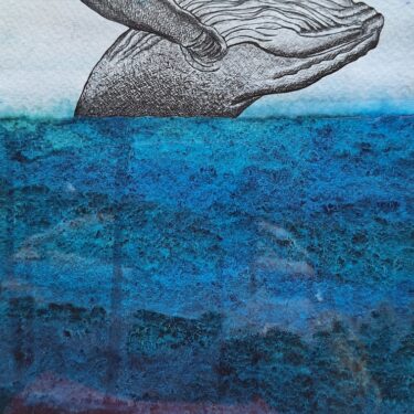 Creative Connections |  Uillinn: West Cork Arts Centre 
Skibbereen, Co Cork | Thursday 3 October to Saturday 2 November 2024 | to 