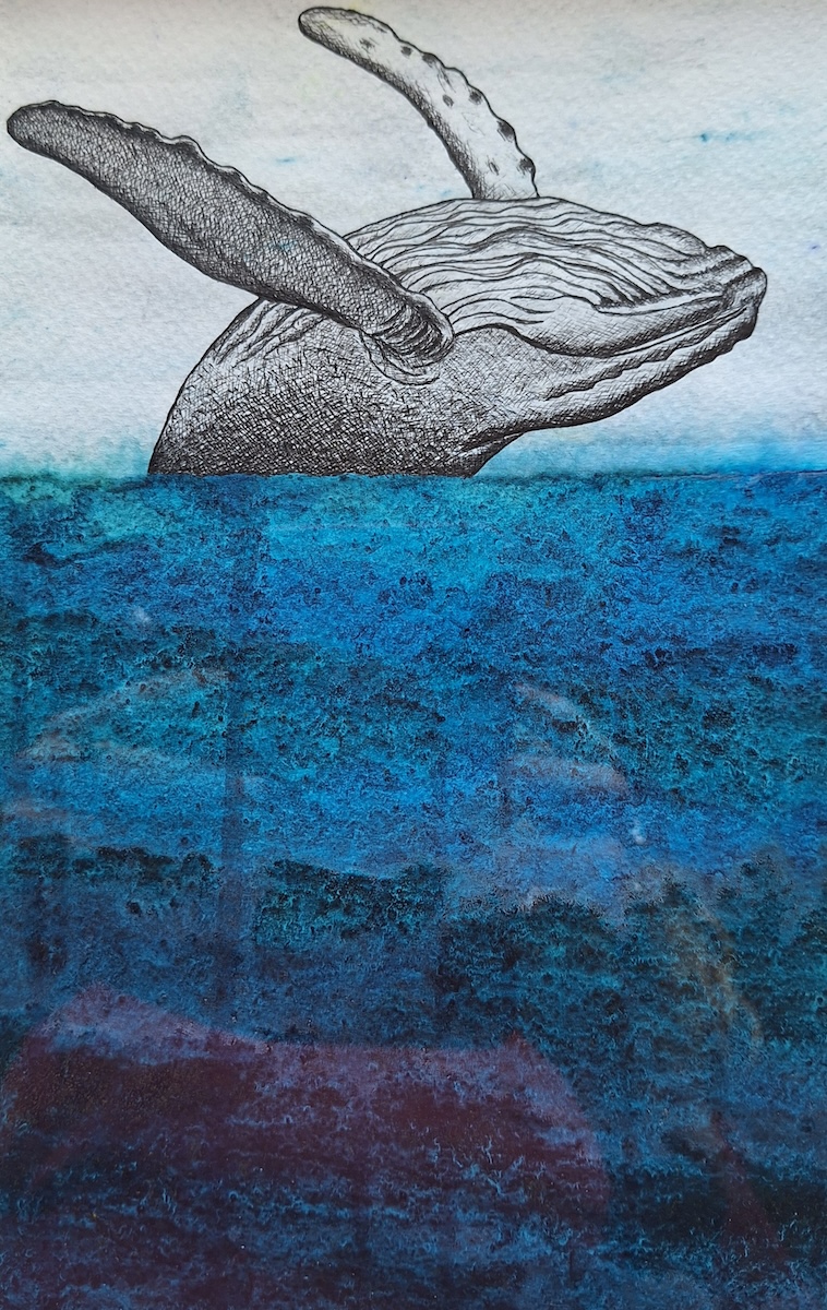 Lena O'Regan: Out of the Depths, 15 × 24cms, pen and ink on paper | Creative Connections | Thursday 3 October  – Saturday 2 November 2024 | Uillinn: West Cork Arts Centre | Image: Lena O'Regan: Out of the Depths, 15 × 24cms, pen and ink on paper | portrait-orientation artwork; two thirds of the surface of the image is blue, textured sea; the top third is sky and a whale breaching, flippers in the air, the whale apparently upside-down, sort-of; the whale is drawn in black ink, while the sea is considerably more complicated 