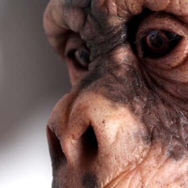 Sadhbh Mowlds: To Be Used |  Royal Hibernian Academy 
15 Ely Place, Dublin 2 | Saturday 23 November 2024 to Sunday 26 January 2025 | to 