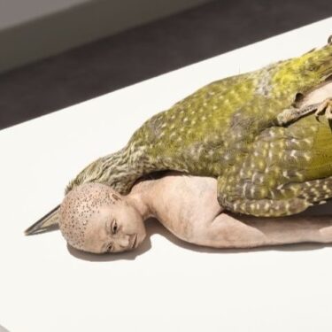 Claire Morgan: You Will Not Stop Here |  Golden Thread Gallery 
23-29 Queen Street Belfast BT1 6EA | Saturday 19 October to Wednesday 27 November 2024 | to 