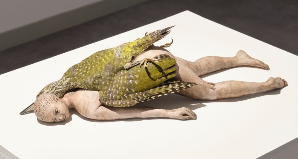 Claire Morgan: Bloom (detail) 2023; wax, bluebottles,nylon in vitrine, 186.5 x 71 x 71 cm Courtesy Galerie Karsten Greve, Cologne, Paris, St.Moritz © Claire Morgan Photo: John McKenzie | Claire Morgan: You Will Not Stop Here | Saturday 19 October  – Wednesday 27 November 2024 | Golden Thread Gallery | Image: installation shot of one of the works in the exhibition; we see a naked human lying face-down, though with head turned to their left, so towards the camera, which is above and to one side; on the figure’s back we see the body and left wing of a greenish-feathered raptor; the raptor’s head is mostly hidden behind the figure’s head; we see some nasty-looking claws; the plinth is white and of generous proportions 