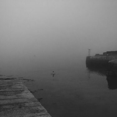 Róisín White: Safe Harbour |  Municipal Gallery 
dlr LexIcon Dún Laoghaire, Co. Dublin | Friday 8 November 2024 to Sunday 19 January 2025 | to 