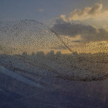 Vincent Sheridan: Mirage |  SO Fine Art Editions 
Powerscourt Townhouse Dublin 2 | Saturday 5 October to Saturday 26 October 2024 | to 