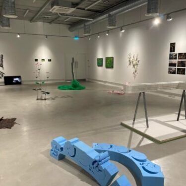 Hivernal |  Roscommon Arts Centre 
Circular Road Roscommon Town | Friday 1 November to Saturday 21 December 2024 | to 