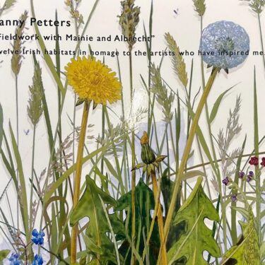 Yanny Petters: Fieldwork with Mainie and Albrecht |  Olivier Cornet Gallery 
3 Great Denmark Street (beside Belvedere College) Dublin 1 | Sunday 6 October to Sunday 10 November 2024 | to 