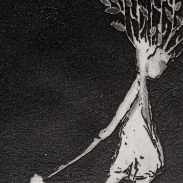 Anne McDonnell: Nourish |  GOMA Gallery of Modern Art 
6 Lombard Street Waterford | Saturday 30 November 2024 to Sunday 5 January 2025 | to 