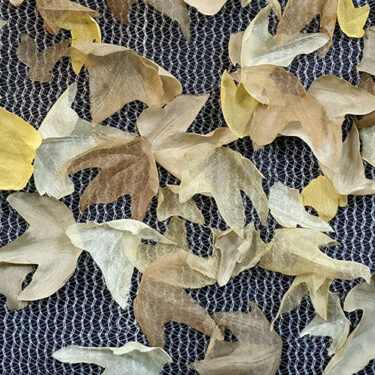 Marielle MacLeman: The Visitors |  Butler Gallery 
Evans’ Home John’s Quay, Kilkenny | Saturday 14 December 2024 to Sunday 9 February 2025 | to 