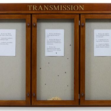 Hamad Butt: Apprehensions |  IMMA 
Royal Hospital, Kilmainham Dublin 8 | Friday 6 December 2024 to Monday 5 May 2025 | to 