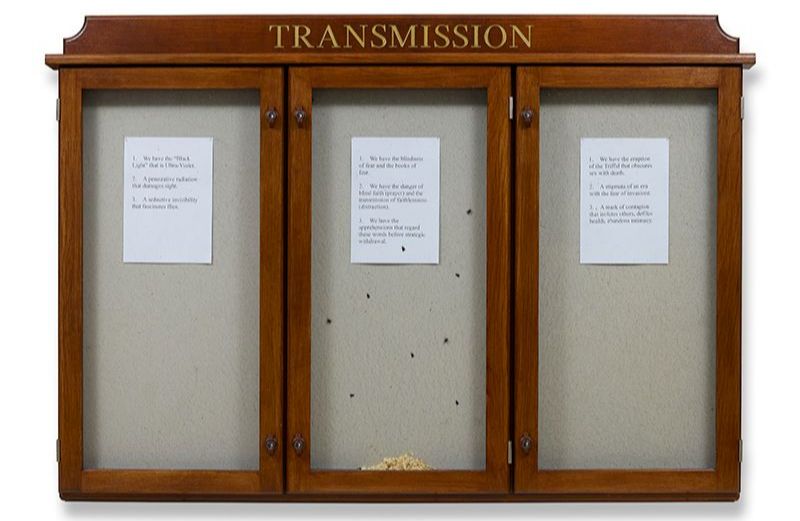 Hamad Butt, Fly-Piece from Transmission (1990) reconstructed in 2024. Wall-mounted wood and glass vitrine, gold paint, paper, live flies, 1670 x 1064 x 92 mm | Hamad Butt: Apprehensions | Friday 6 December 2024  – Monday 5 May 2025 | IMMA | Image: Hamad Butt, Fly-Piece from Transmission (1990) reconstructed in 2024. Wall-mounted wood and glass vitrine, gold paint, paper, live flies, 1670 x 1064 x 92 mm | photo of old-style bulletin board, the type that you find in institutions: three wood-framed ‘windows’ behind which is a grey board onto which notices might be pinned; in this case, though, behind each ‘window’ we see just one A4(?)-sized white sheet of paper on each of which a different text appears – a numbered list in each case (not legible in the image); the notes are towards the top of each ‘window’; in the middle window we see what seem to be maybe nine houseflies and a mound of something yellow-ish and wood-shavings-like at the bottom of the window; above the three windows we see brass letters on wood spelling out ‘TRANSMISSION’ 