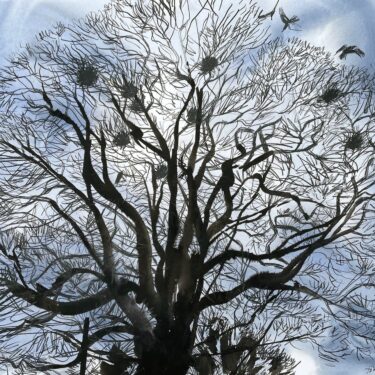 Winter Group Show |  Solomon Fine Art 
Balfe Street, Dublin 2 | Thursday 21 November to Monday 23 December 2024 | to 