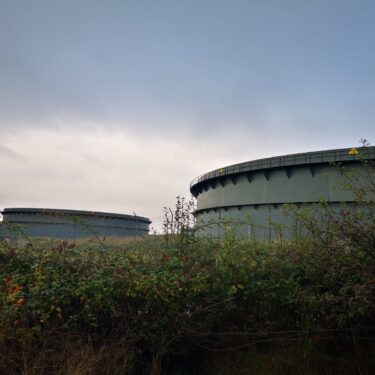 Meshworking: MA Art and Environment Graduate Exhibition |  Uillinn: West Cork Arts Centre 
Skibbereen, Co Cork | Monday 25 November to Saturday 21 December 2024 | to 