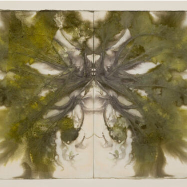 Artists’ Fundraiser for Médicins sans Frontières |  Temple Bar Gallery + Studios 
5 - 9 Temple Bar Dublin 2 | Thursday 21 November to Thursday 19 December 2024 | to 