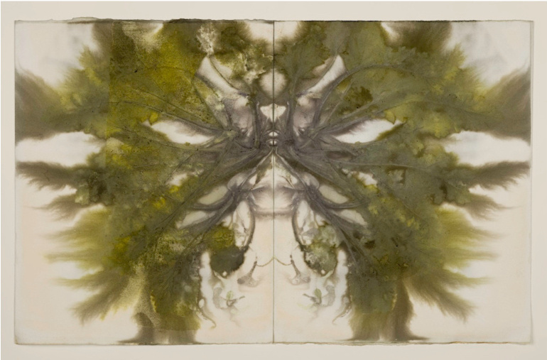 Clodagh Emoe, Caisearbhán, 2024 | Artists’ Fundraiser for Médicins sans Frontières | Thursday 21 November  – Thursday 19 December 2024 | Temple Bar Gallery + Studios | Image: Clodagh Emoe, Caisearbhán, 2024 |  