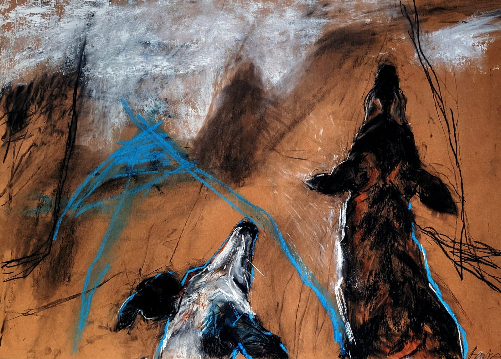 Margo Banks: Waiting for The Walk, mixed media, 70 x 100cm | Margo Banks: Cast a Spell | Thursday 9 January  – Saturday 1 February 2025 | Solomon Fine Art | Image: Margo Banks: Waiting for The Walk, mixed media, 70 x 100cm | drawing of two dogs presumably waiting to be taken out for a walk; we see them from behind, just the head of the one the left, head and neck of the one on the right;  the one on the left has black and white markings, the one on the right is probably just black, though possibly with streaks of orange; the ground of the image is an orange-ish tan; there are some lines in a strong mid-blue, though it is not clear what it is that they are defining – possibly just a hint of the walkies space outside 