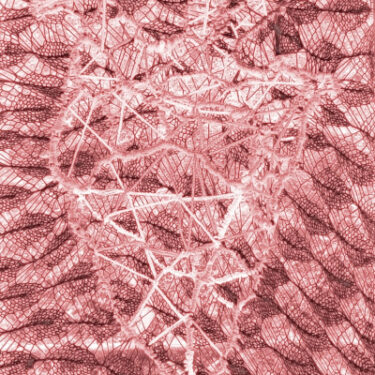 First View / Expanded Studio |  Garter Lane Arts Centre 
O'Connell Street Waterford | Monday 20 January to Saturday 1 February 2025 | to 