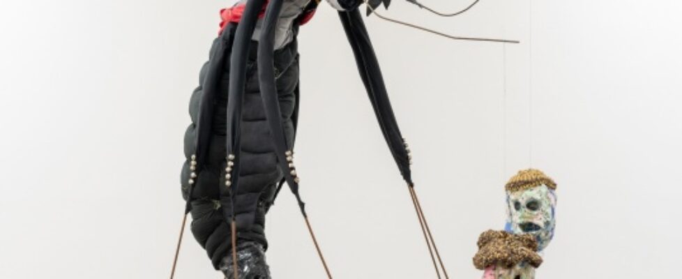 6-CulchieBoy___default_2500_1667