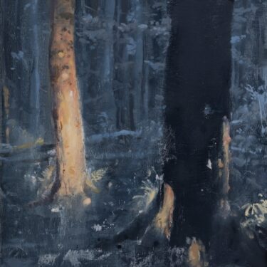 David Smith: Gaussian Blur |  Royal Hibernian Academy 
15 Ely Place, Dublin 2 | Friday 7 February to Sunday 23 February 2025 | to 