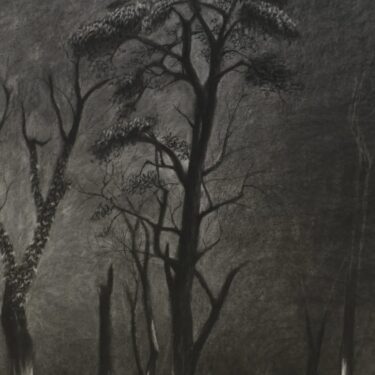 Graduate Award Exhibition 2025 |  GOMA Gallery of Modern Art 
6 Lombard Street Waterford | Saturday 15 February to Sunday 23 March 2025 | to 