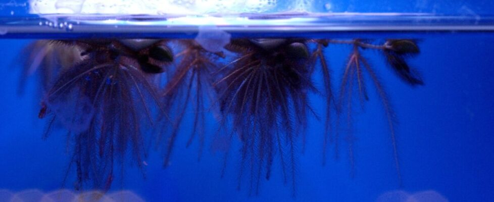 Martina O'Brien_innhold_production still