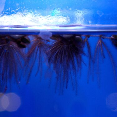 Martina O’Brien: brittle record |  Municipal Gallery 
dlr LexIcon Dún Laoghaire, Co. Dublin | Friday 14 February to Wednesday 2 April 2025 | to 