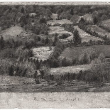 Michael Wann: The Old Grieving Fields |  Solomon Fine Art 
Balfe Street, Dublin 2 | Thursday 6 February to Saturday 1 March 2025 | to 