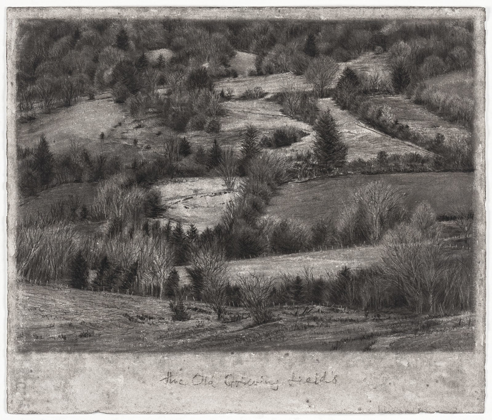 Michael Wann: The Old Grieving Fields, charcoal on paper, 60 x 70cm | Michael Wann: The Old Grieving Fields | Thursday 6 February  – Saturday 1 March 2025 | Solomon Fine Art | Image: Michael Wann: The Old Grieving Fields, charcoal on paper, 60 x 70cm | the overall shape of the drawing is reminiscent of a polaroid photo – white band bordering three side, with the fourth at the bottom much wider; in the band at the bottom we see the image’s title, “The Old Grieving Fields’; the drawing itself is a view down over maybe ten small fields, each bordered by what may be willow and conifer; all is in greyscale, and there is apparent smudging onto the side bands of white, as though this artwork has been through a lot 